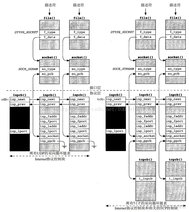 《TCP/IP具体解释卷2：实现》笔记--协议控制块_结点